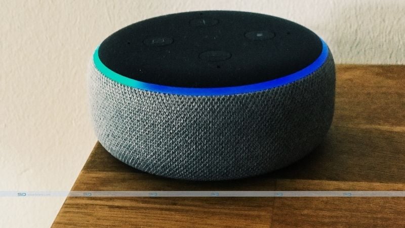 Discontinue the availability of celebrity voices for Alexa